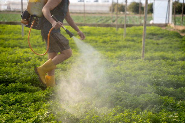 Pest Control Cost in Clarence Center, NY