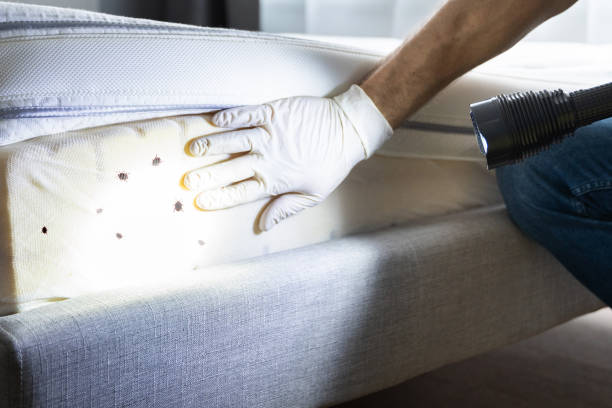 Best Pest Control Near Me  in Clarence Center, NY