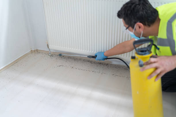 Best Best Pest Control Companies  in Clarence Center, NY